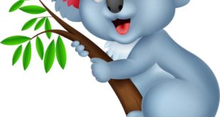 La cangurina Giovanna e il koala Gastone La cangurina Giovanna e il koala Gastone