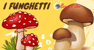 I Funghetti I Funghetti