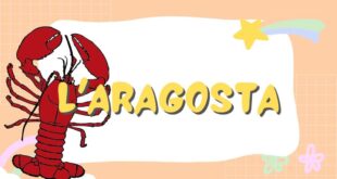 L’aragosta