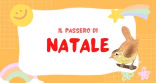Il passero di Natale Il passero di Natale