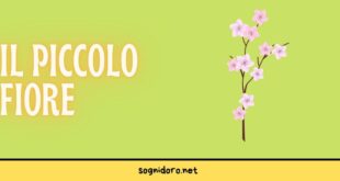 Il piccolo fiore Il piccolo fiore