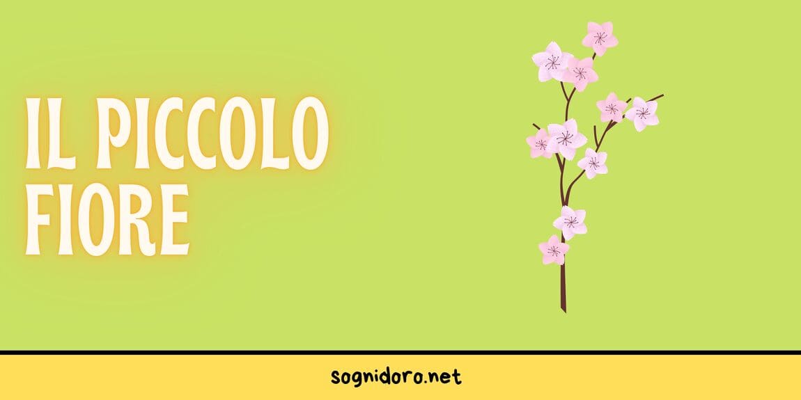 Il piccolo fiore Il piccolo fiore