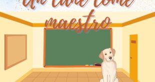 Un cane come maestro