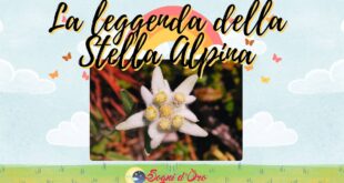 La leggenda della stella alpina La leggenda della stella alpina